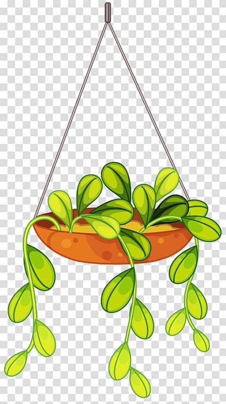 Flower , hanging plant transparent background PNG clipart