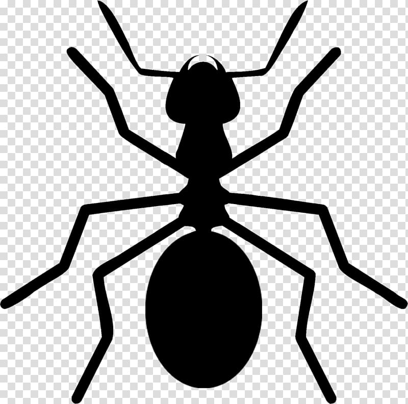 Ant Insect License , ant transparent background PNG clipart