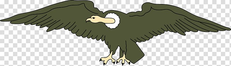 Flag of Ecuador Condor , vulture transparent background PNG clipart