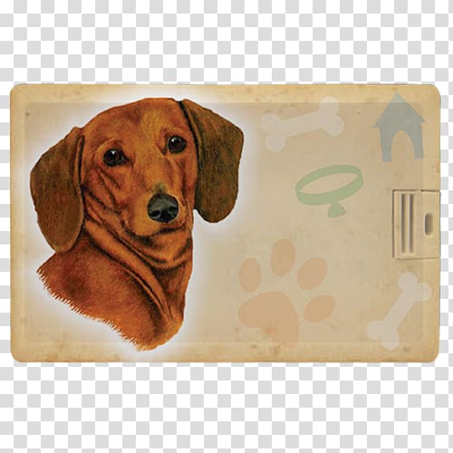 Dachshund Puppy Dog breed Scent hound Pet, puppy transparent background PNG clipart