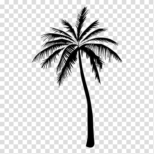 Arecaceae Tree Silhouette Drawing, tree transparent background PNG clipart