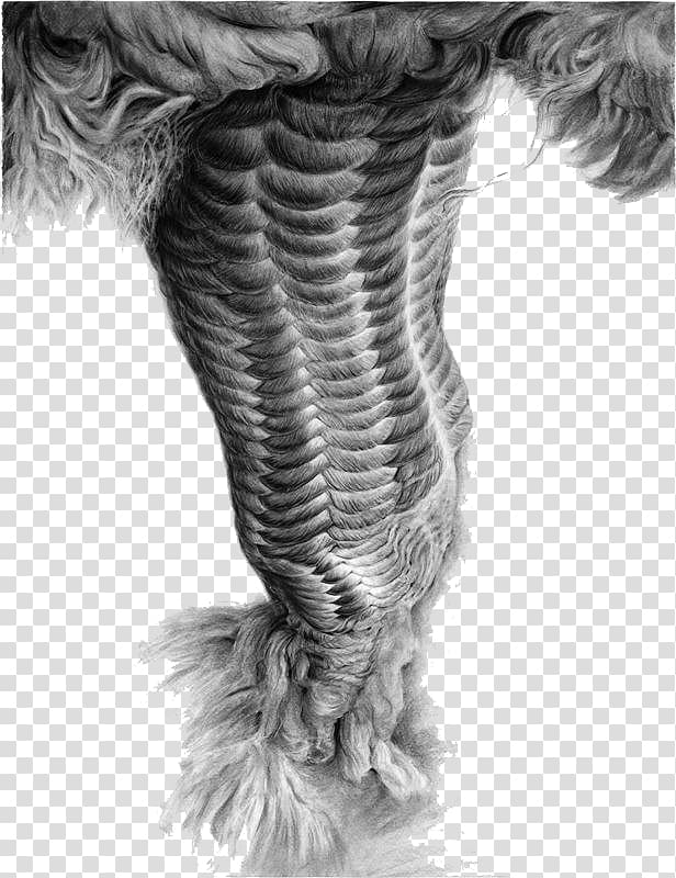 Drawing Rope Visual arts Charcoal, Gray sketch na rope illustration transparent background PNG clipart
