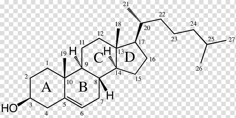 Cholesterol Alkene Dimethylallyl pyrophosphate Dehydroepiandrosterone, cholestrol transparent background PNG clipart