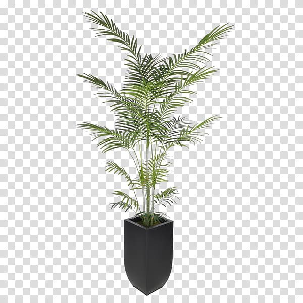 Arecaceae Areca palm Artificial flower Dracaena reflexa Plant, plant transparent background PNG clipart