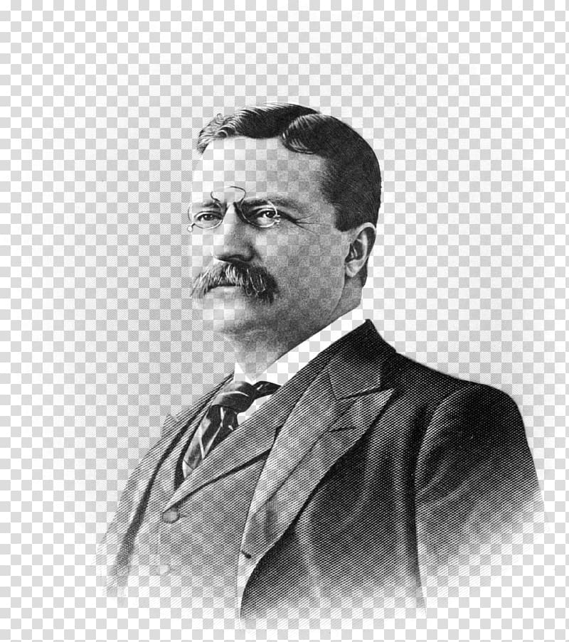 Theodore Roosevelt President of the United States Republican Party Breitbart News Politics, others transparent background PNG clipart