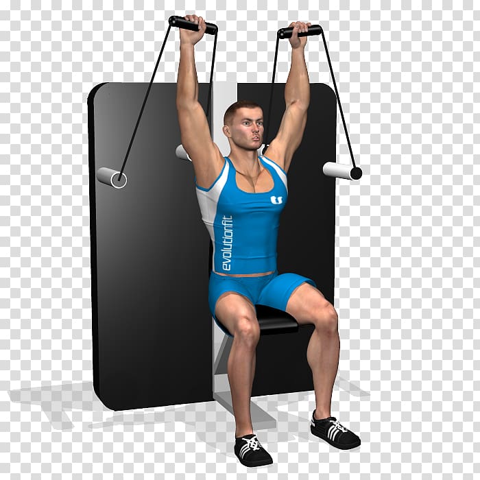 Weight training Shoulder Deltoid muscle Cable machine Calf, shoulder press transparent background PNG clipart
