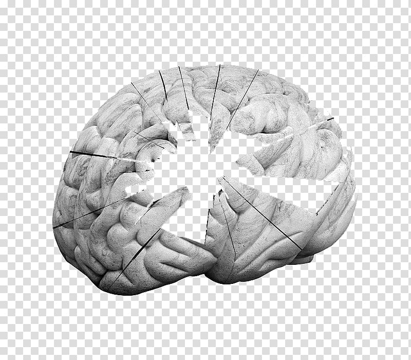 Long-term memory Cognitive psychology Cognition, There are powerful holes in the brain transparent background PNG clipart