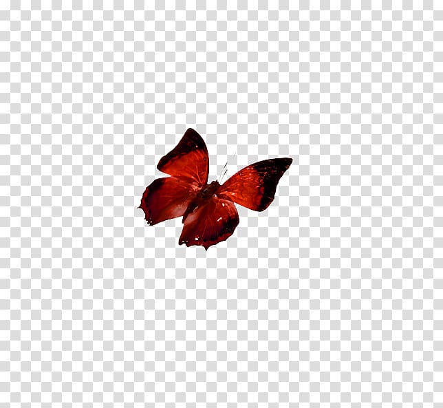 Butterfly Red Computer file, Crimson Butterfly transparent background PNG clipart