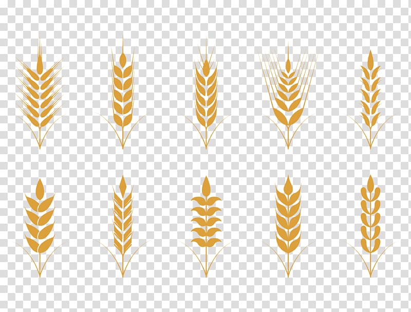 yellow leaf plants art illustration, Oat Cereal Wheat Icon, simple flat golden wheat pattern transparent background PNG clipart