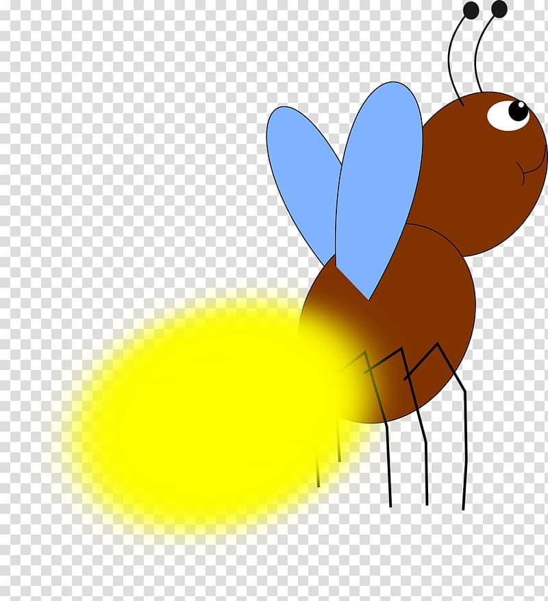 Butterfly Beetle Firefly , butterfly transparent background PNG clipart