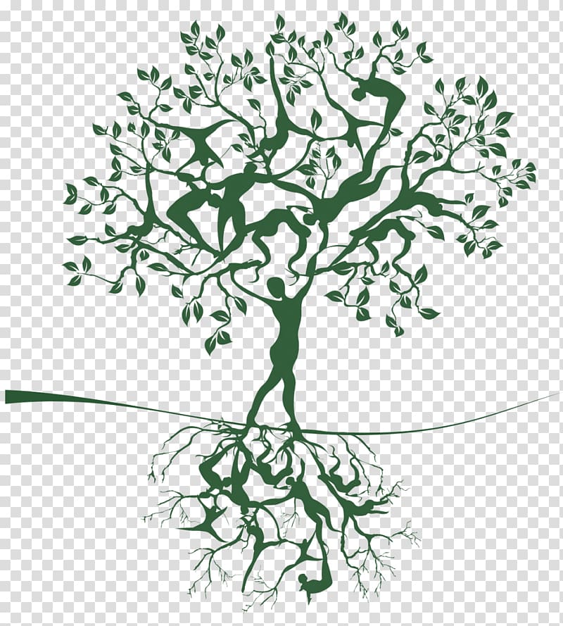 Tree of life Woman, tree transparent background PNG clipart
