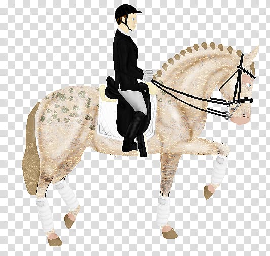 Hunt seat Stallion Pony Bridle Horse, horse transparent background PNG clipart