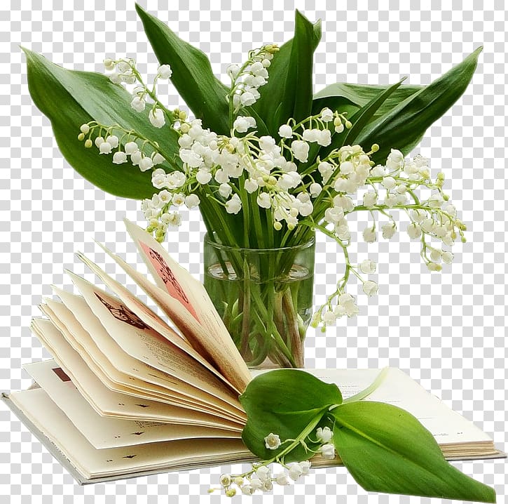 Lily of the valley 1 May French Loto Luck, lily of the valley transparent background PNG clipart