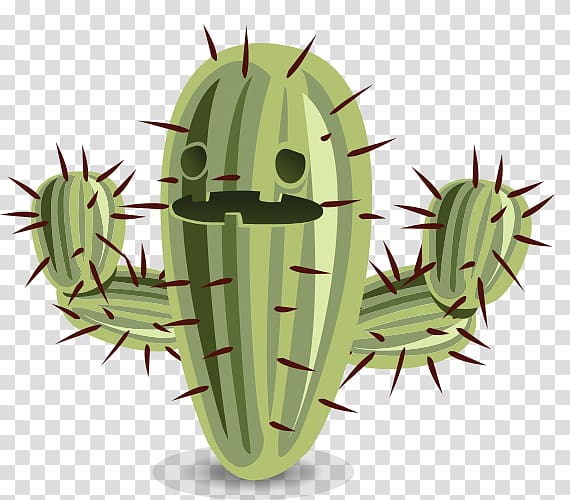 Cartoon Succulent plant , cactus cartoon transparent background PNG clipart