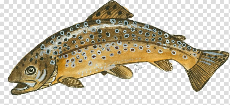 brown trout clip art