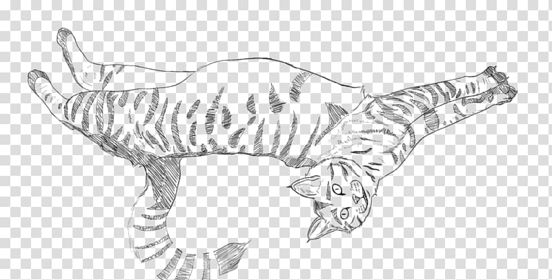 Tiger Cat Canidae Paw Sketch, tiger transparent background PNG clipart