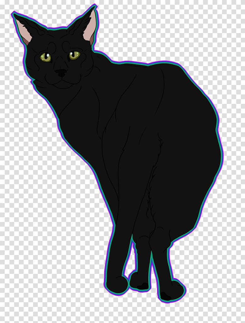 Bombay cat Manx cat Korat Whiskers Domestic short-haired cat, dutch shepherd transparent background PNG clipart