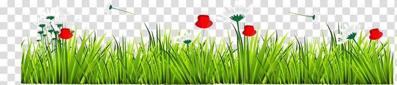 green and white flower and grass illustration, Euclidean GRASS GIS Herbaceous plant, grass transparent background PNG clipart