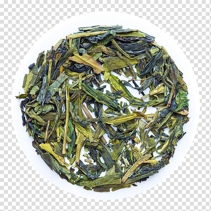 Gyokuro Nilgiri tea White tea Sencha, tea transparent background PNG clipart