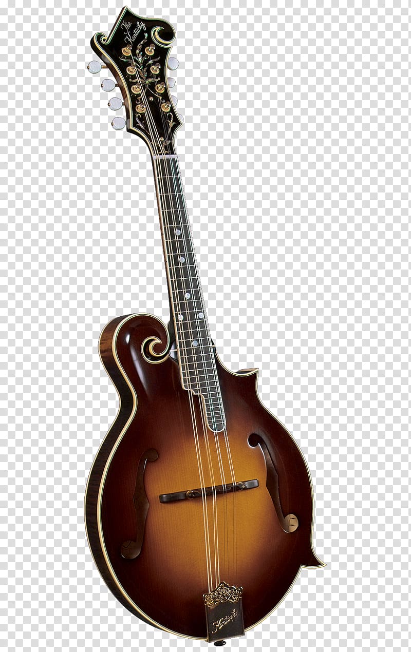 Amazon.com Mandolin Musical Instruments Bluegrass F-lyuk, musical instruments transparent background PNG clipart