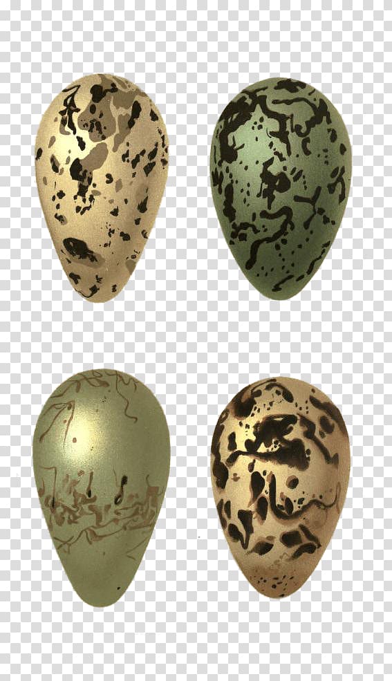 Bird egg, watercolor egg transparent background PNG clipart