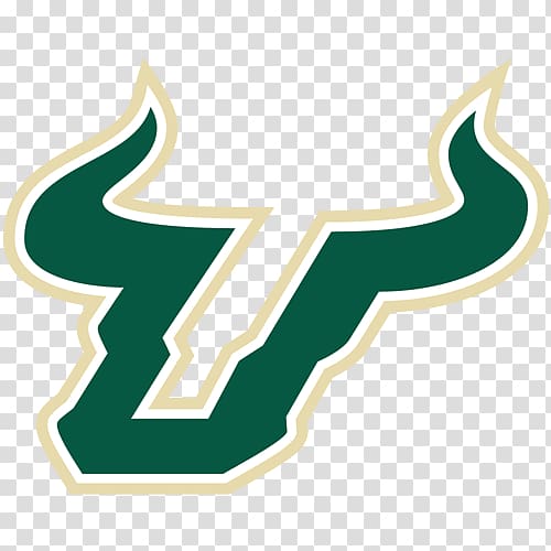 University of South Florida South Florida Bulls football South Florida Bulls women\'s basketball South Florida Bulls men\'s basketball South Florida Bulls baseball, football stadium transparent background PNG clipart