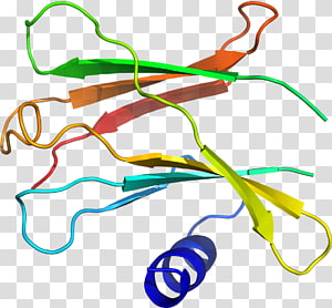 Line Point Organism , line transparent background PNG clipart thumbnail