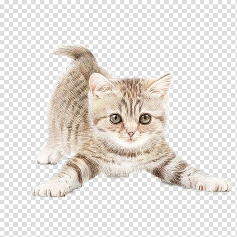 silver tabby kitten, Cat Watercolor painting Drawing , Cat transparent background PNG clipart