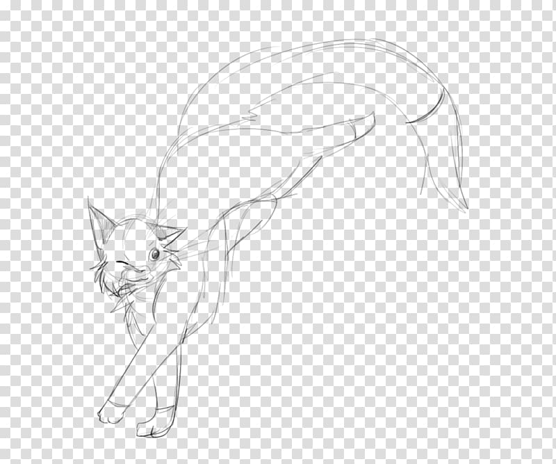 Drawing Cat Line art Cartoon Sketch, star sketch transparent background PNG clipart