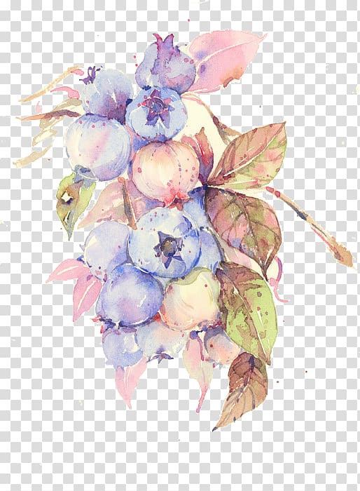 purple and pink berries , Floral design Watercolor painting Flower Illustration, Blueberry fruit transparent background PNG clipart