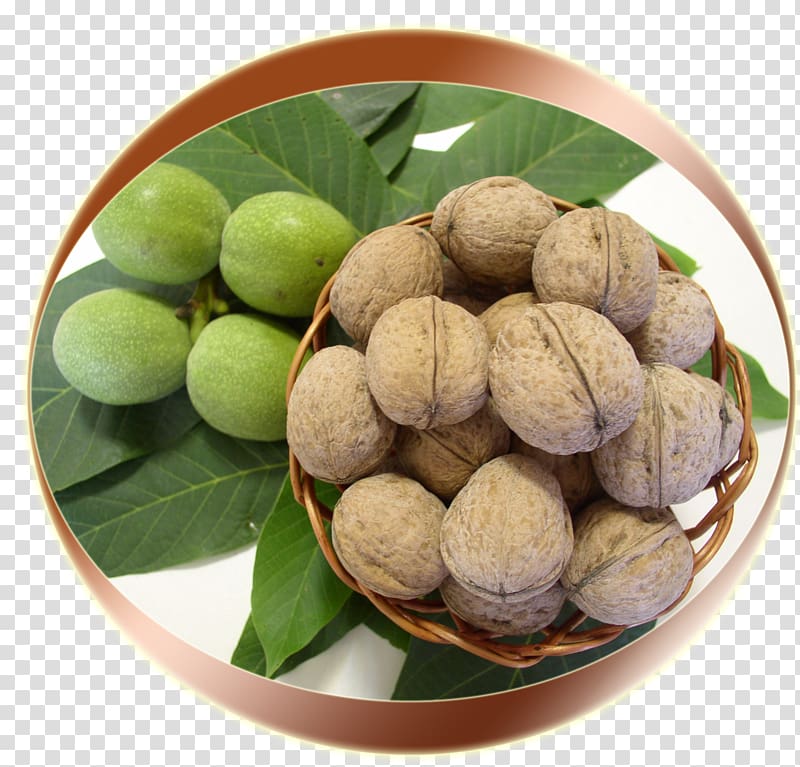 Walnut Macadamia Longan Superfood, walnut transparent background PNG clipart