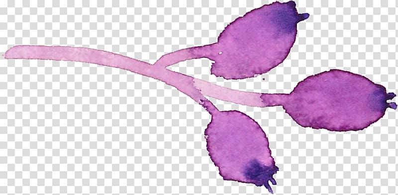 Watercolor painting Flower, Gouache purple berries transparent background PNG clipart