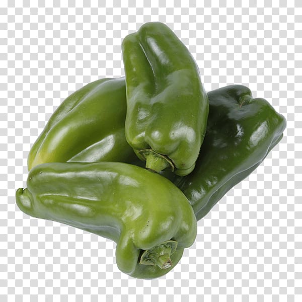 Bell pepper Poblano Jalapeño Pasilla Serrano pepper, vegetable transparent background PNG clipart