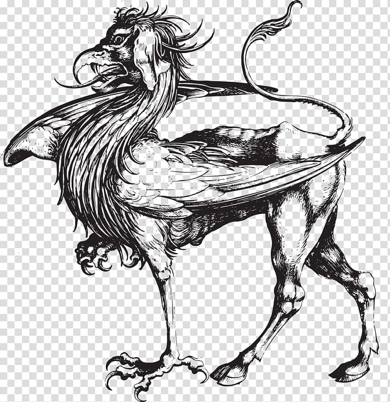 Griffin Dragon Drawing Legendary creature, Griffin transparent background PNG clipart