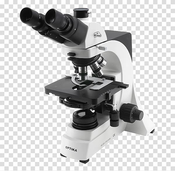 Optical microscope Optics Inverted microscope Phase contrast microscopy, microscope transparent background PNG clipart