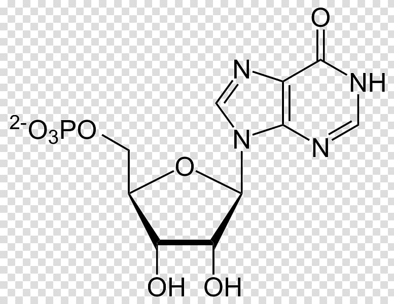 Adenosine triphosphate Adenosine monophosphate Adenine Inosinic acid, 777 transparent background PNG clipart