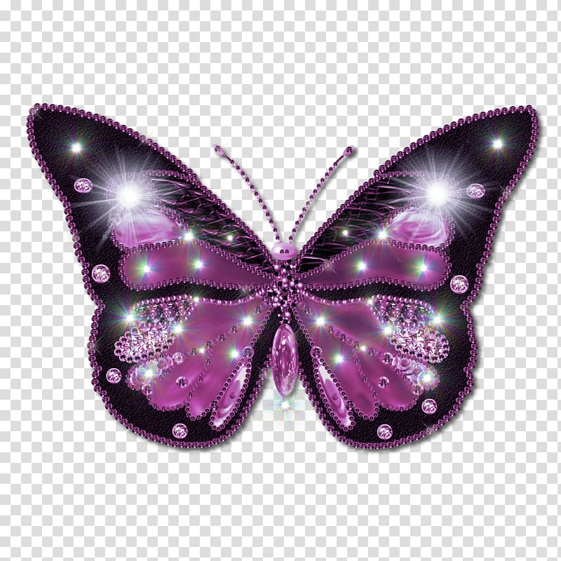 Butterfly , Butterfly transparent background PNG clipart