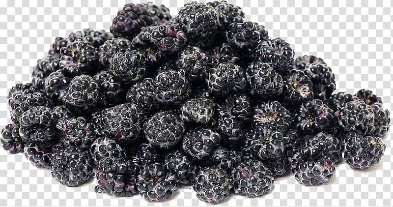 Frutti di bosco Boysenberry Black mulberry Black Raspberry, Black Raspberries transparent background PNG clipart