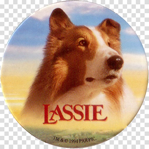 Lassie Come-Home Family film 0, brazil games transparent background PNG clipart
