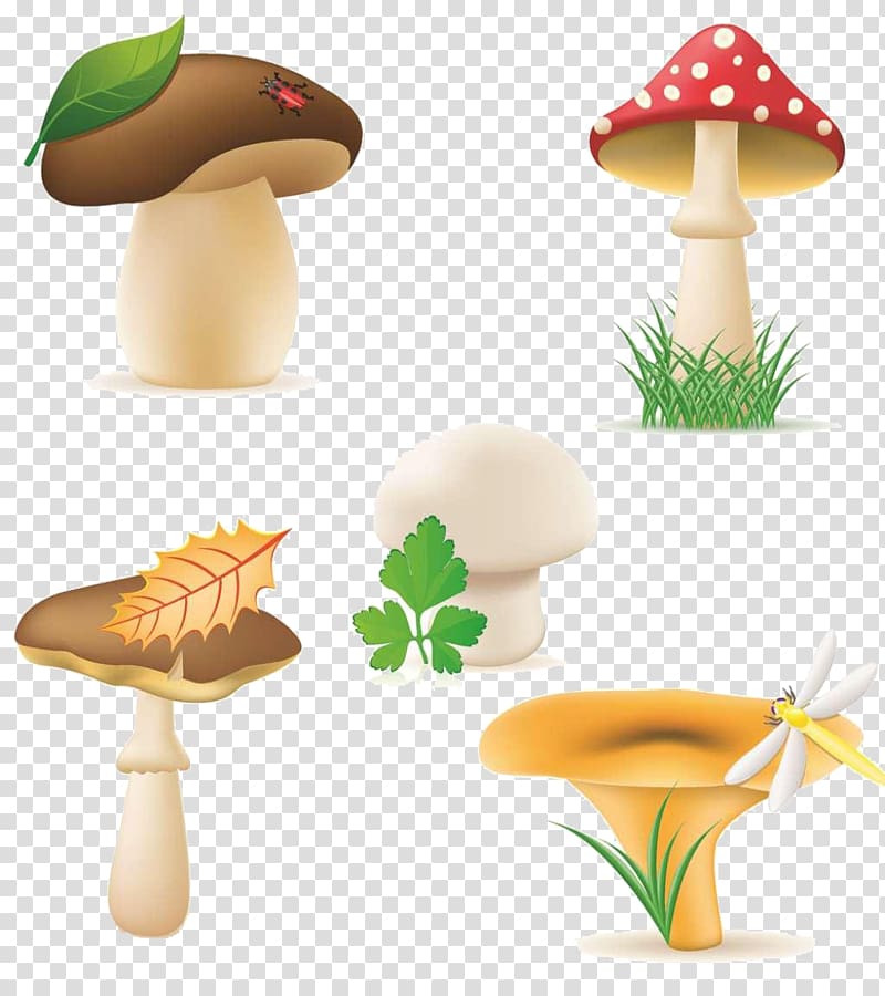 Edible mushroom , Mushroom Figure transparent background PNG clipart
