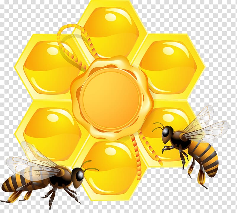 Bee Honeycomb, bee transparent background PNG clipart