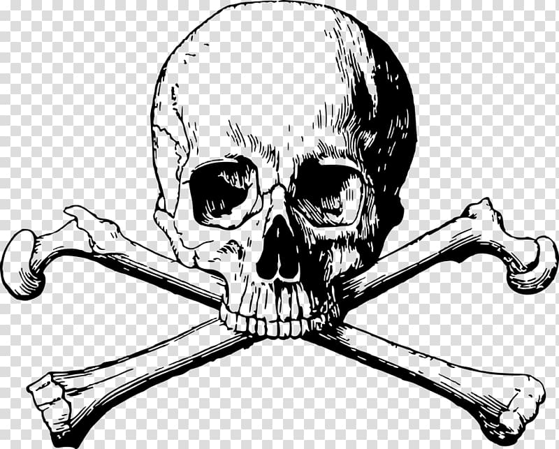 Skull and Bones Human skull symbolism Skull and crossbones , skull transparent background PNG clipart