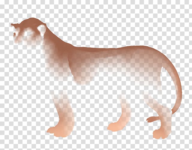 Whiskers Lion Cat Mane Hyena, drizzle transparent background PNG clipart