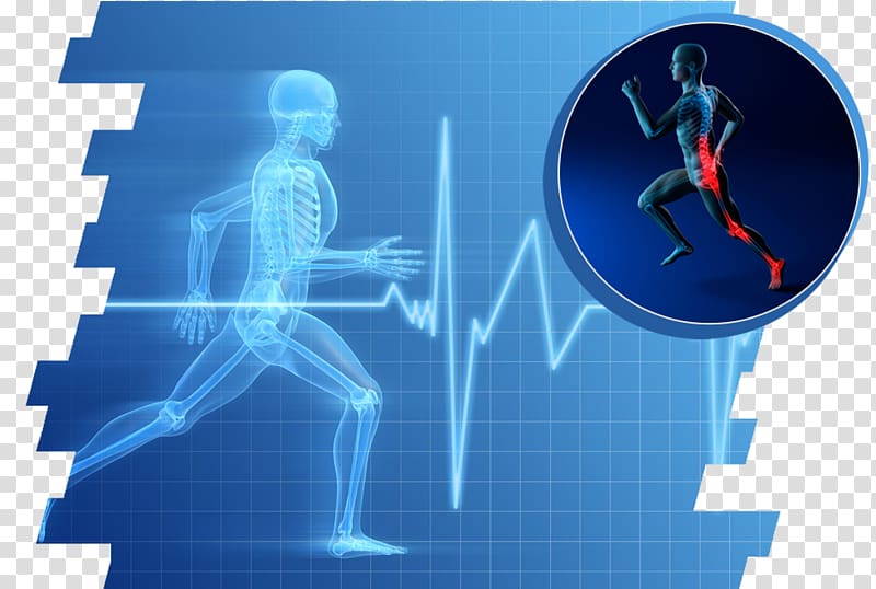 Exercise physiology Sports science Exercise physiology, science transparent background PNG clipart
