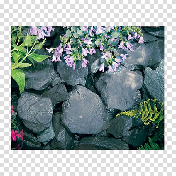 Hydrangea Rock Gardening Flexible intermediate bulk container, rock transparent background PNG clipart