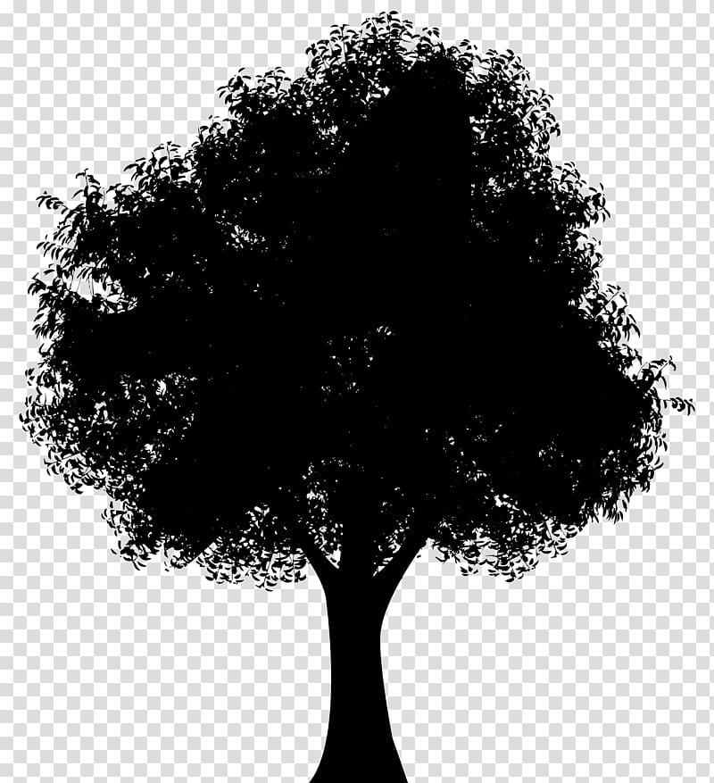 Silhouette Tree Woman of the Promise , Tree Silhouette transparent background PNG clipart