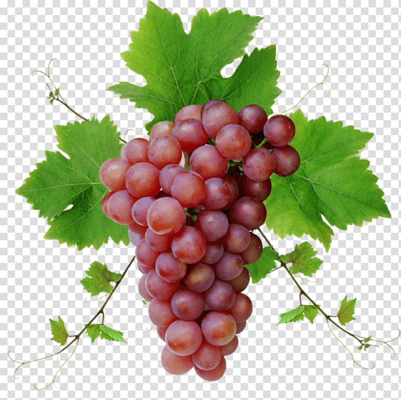 Grape seed oil Desktop Juice Grape seed extract, grape transparent background PNG clipart