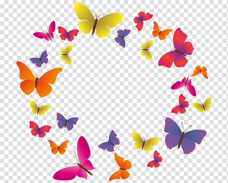 Butterfly South Korea Health Care Organization, butterfly transparent background PNG clipart