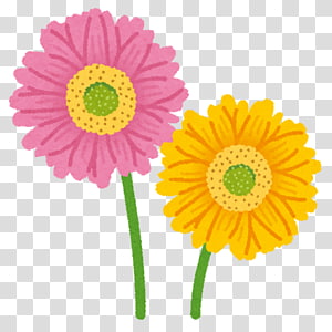 Child いらすとや, child transparent background PNG clipart thumbnail