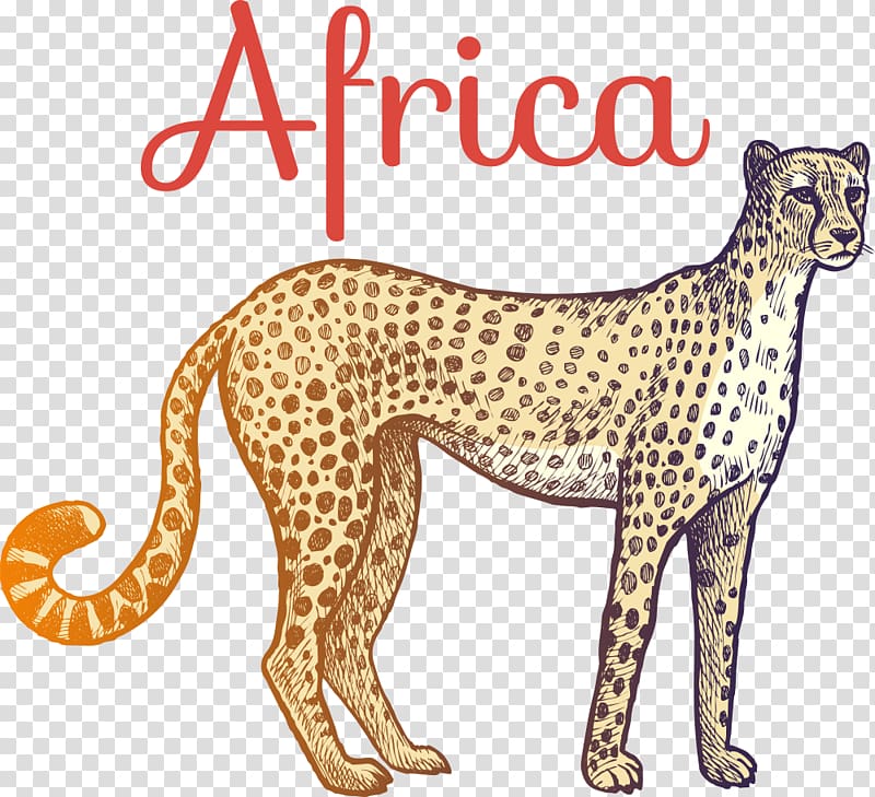 Africa cheetah animated illustration, Columbidae Doves as symbols , pigeon transparent background PNG clipart
